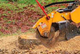 Best Lawn Disease Treatment  in Emerald Lakes, PA