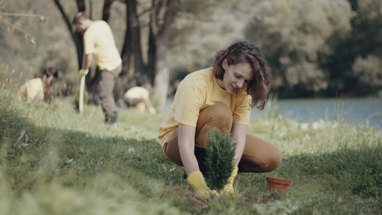 Best Lawn Pest Prevention  in Emerald Lakes, PA
