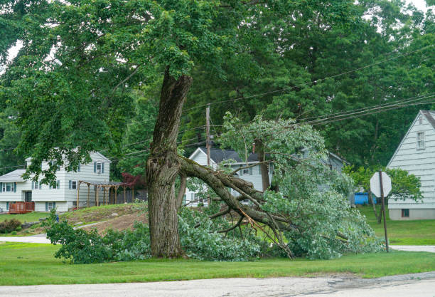 Best Tree Trimming and Pruning  in Emerald Lakes, PA