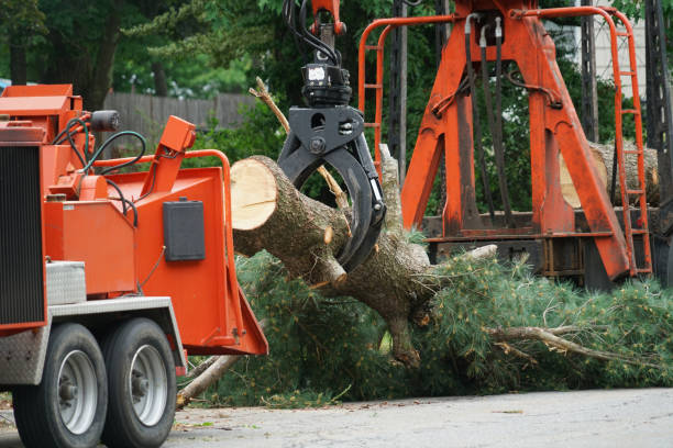 Best Aeration Services  in Emerald Lakes, PA